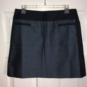 Loft Shimmer Skirt